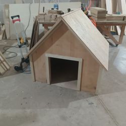 Dog House 