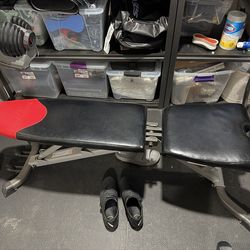Bowflex workout bench