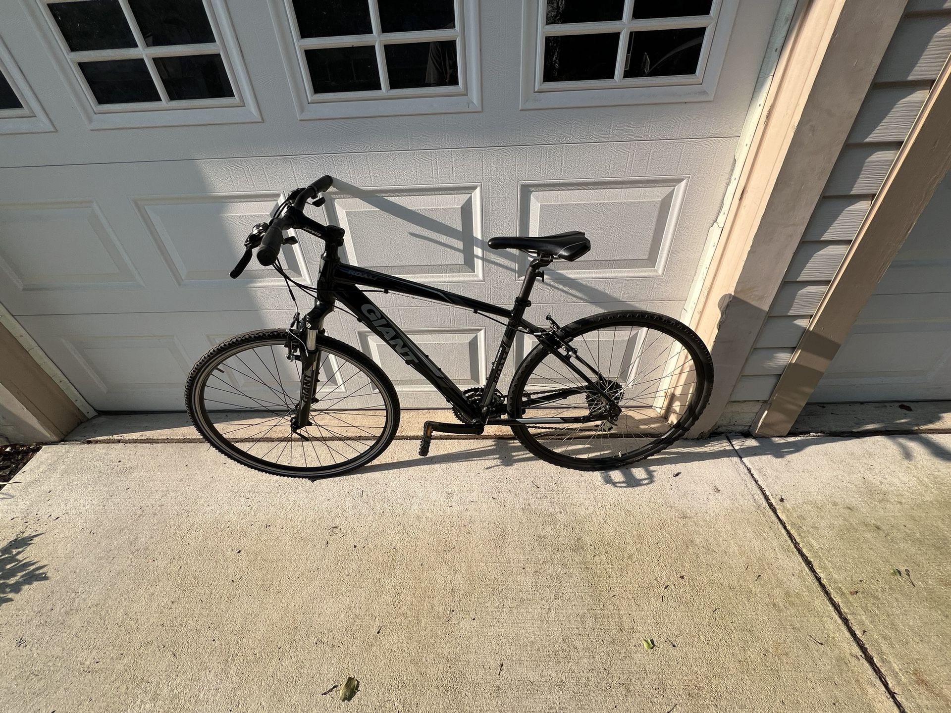 Giant Roam Bike