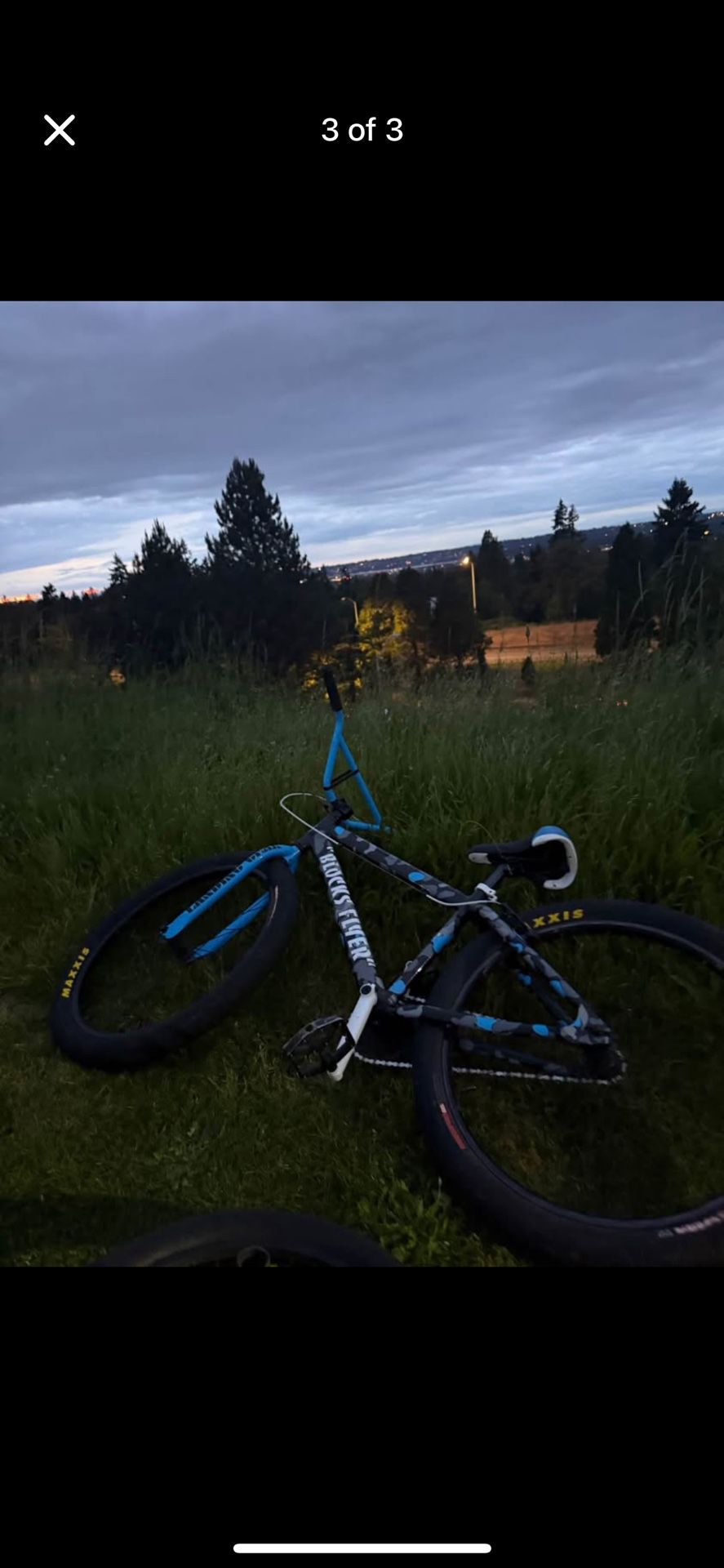 SE Bike