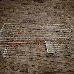 Large Animal Trap