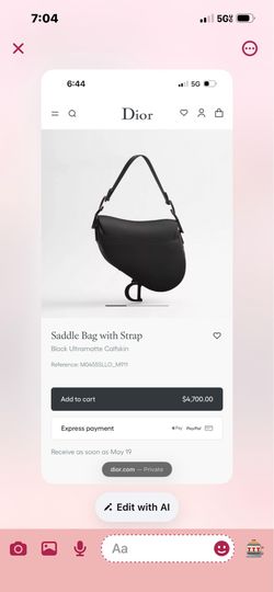 Dior purse