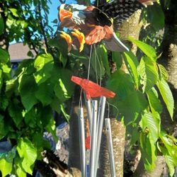 Wind Chime
