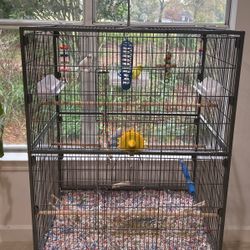 Bird Cage