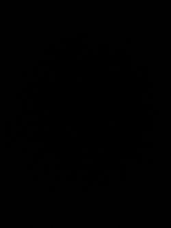Black photo 100% Real