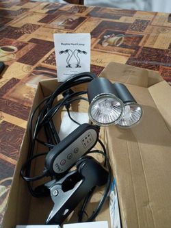 Reptiles heat lamp