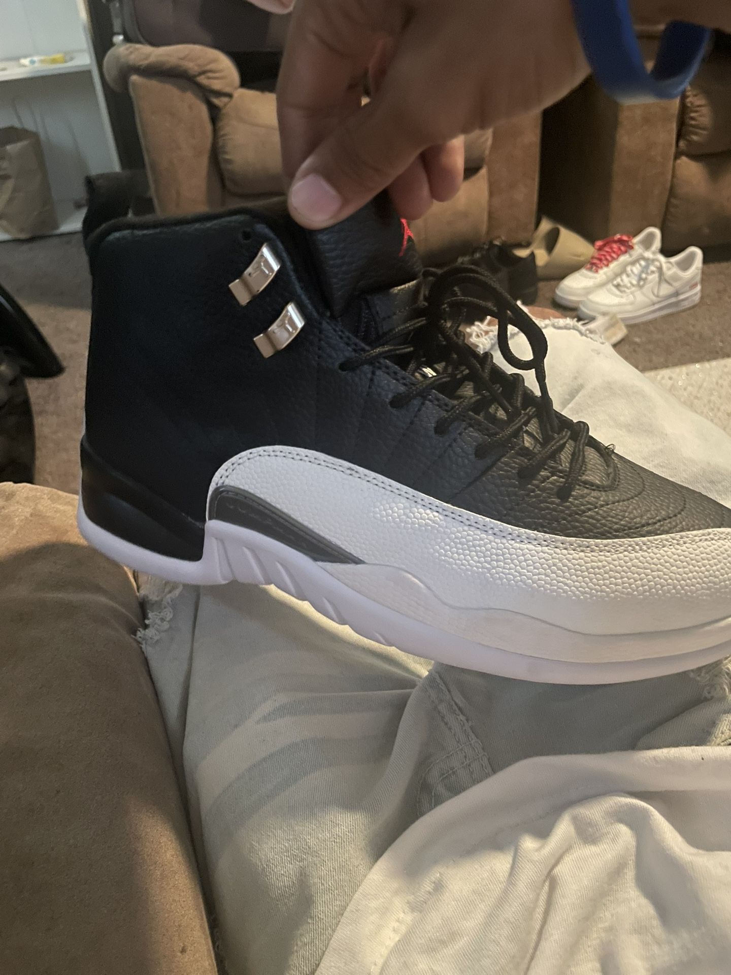 Jordan 12 