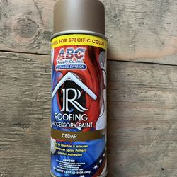 12 oz. Cedar Roof Accessory Aerosol Spray Paint