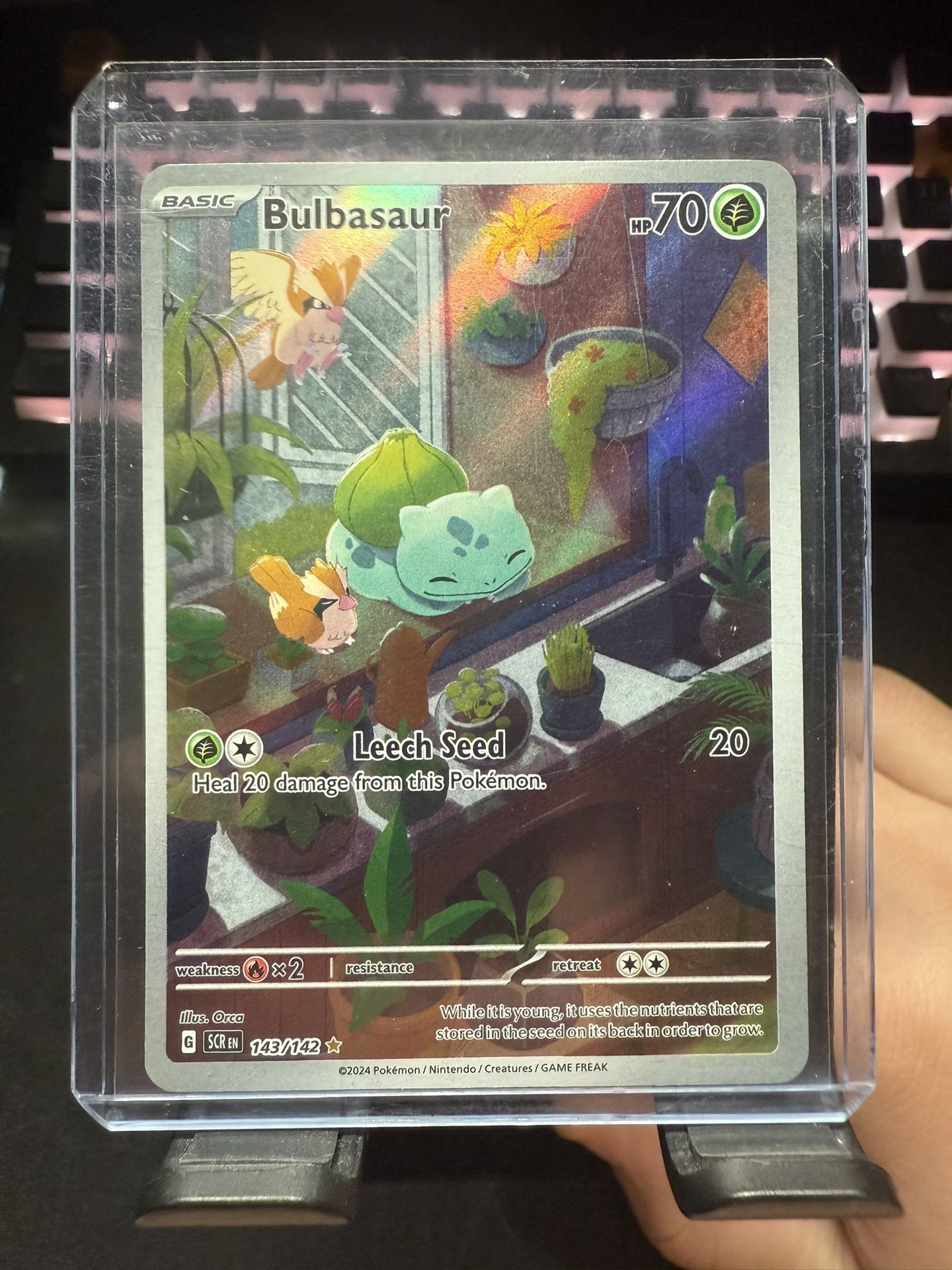 Bulbasaur stellar crown
