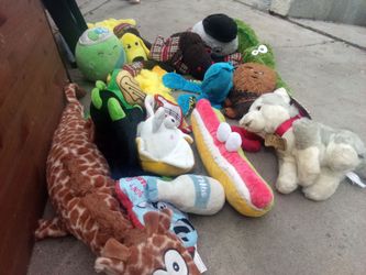Dog toys.