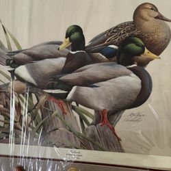 Ducks Unlimited Painting ‘96/‘97 Medallion Series