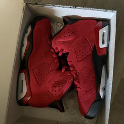 Jordan 6 Toro