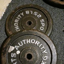 25 Pound Barbell Plates