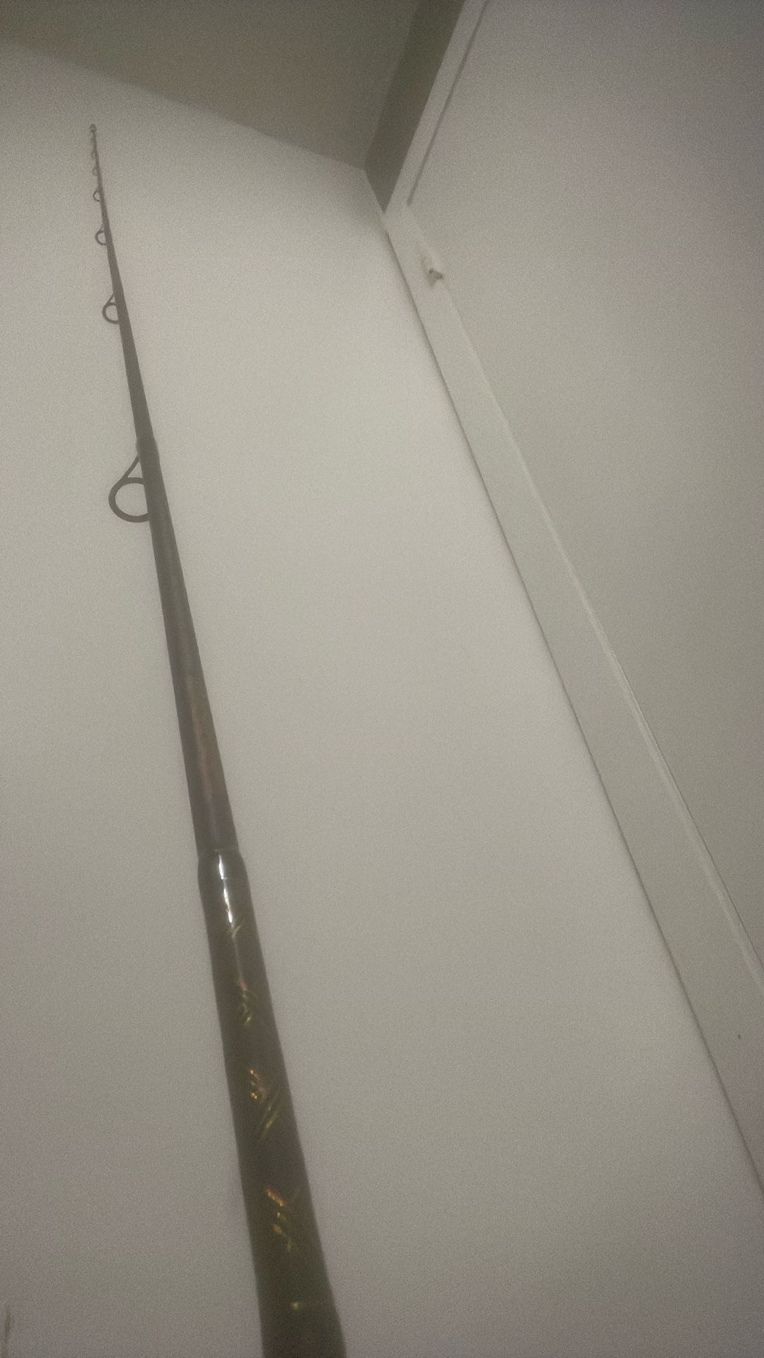 Fishing Rod