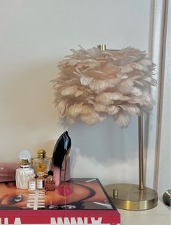 Feather lamp