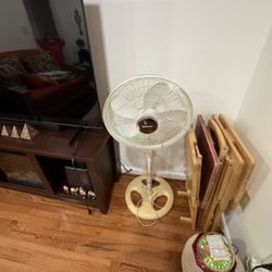 Fan And 6 Snack Trays 