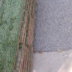120 Sqft Of Sod