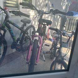 3 Family Bikes
