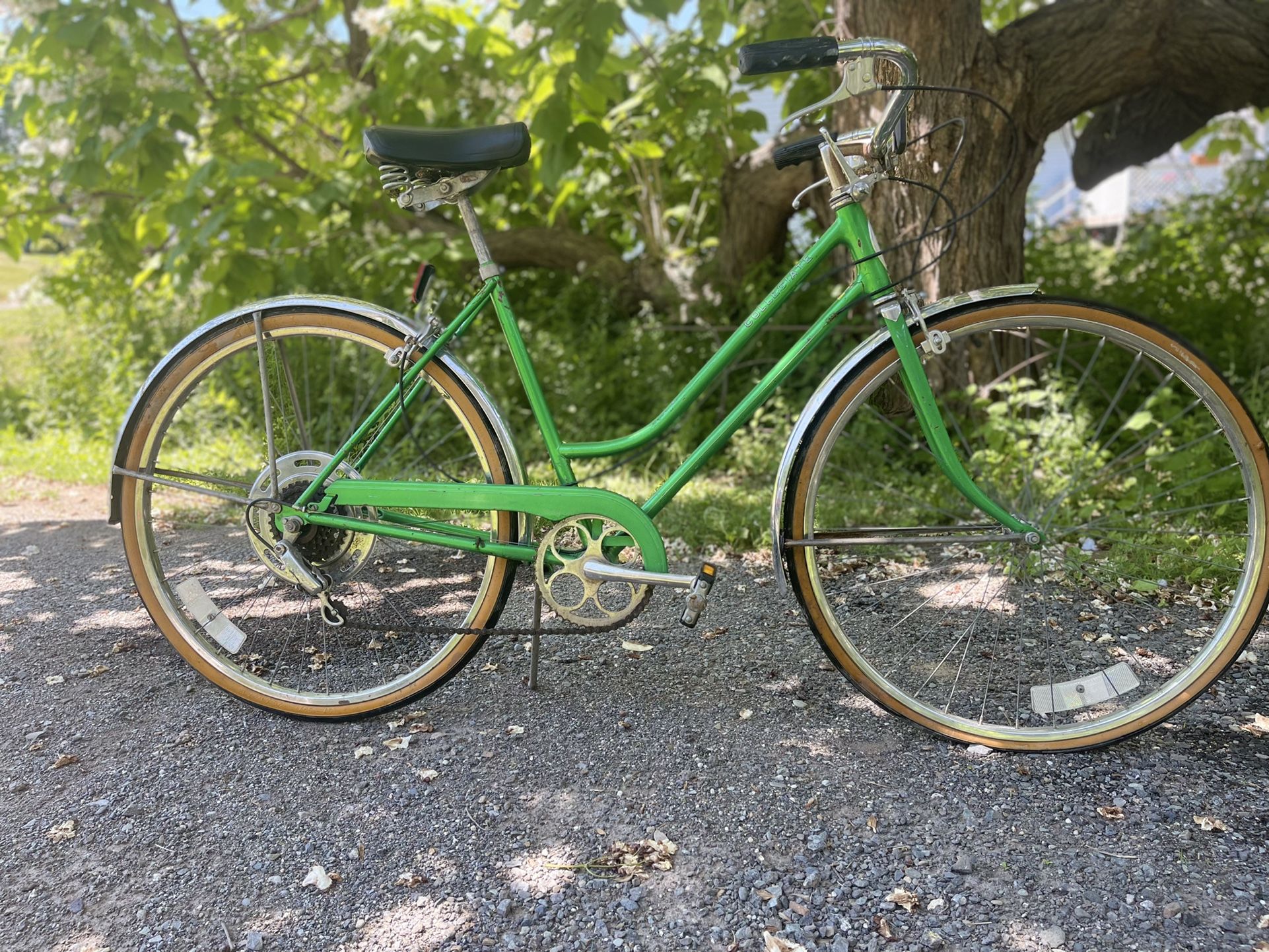 Circa 1972 Vintage Schwinn  5 sp  26"