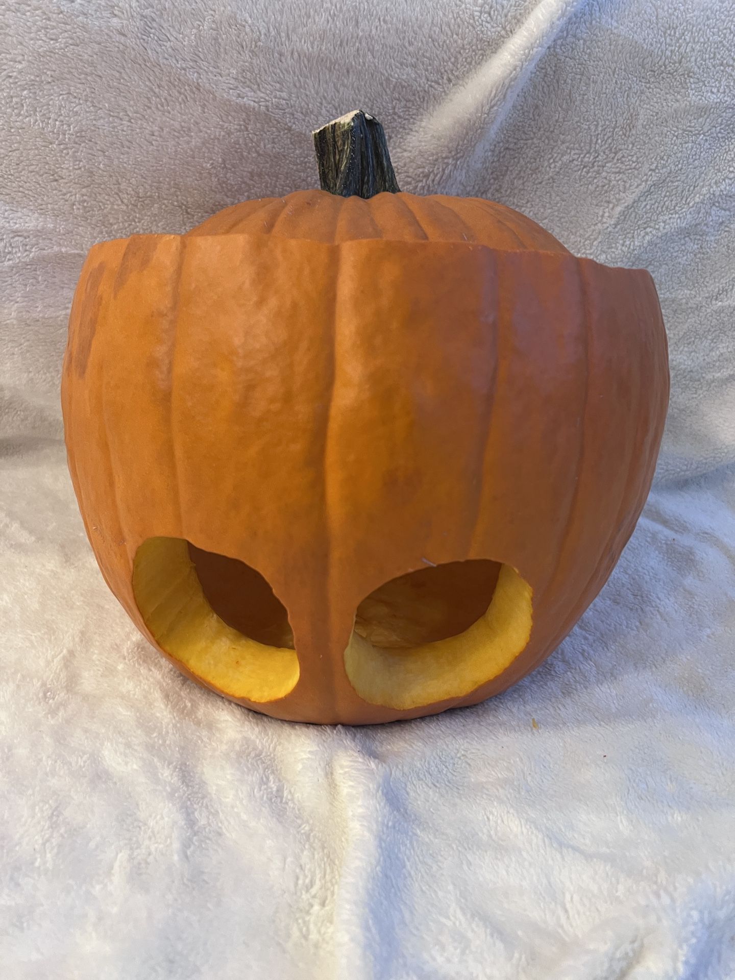 Free Carved Pumpkin For Baby Photos