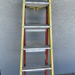 Werner Leansafe X3 Ladder