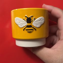 Bee Ceramic Mini Planter / Decorative Pot