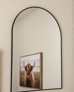 Set of 2 Black Arched Wall Mirrors