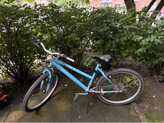 Bicycle for Women in the blue color