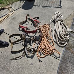 Tree Trimming Equipment 