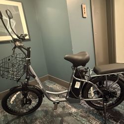 Electric Bike 