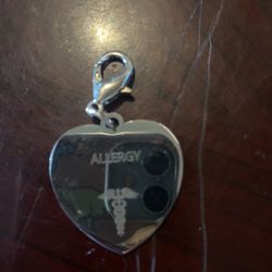 Allergy Medical Keychain