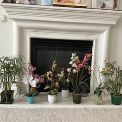 Silk  flowers  -  $8  each