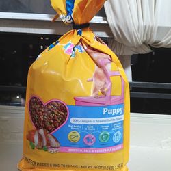 Puppy Food Never Touched Only Poured 