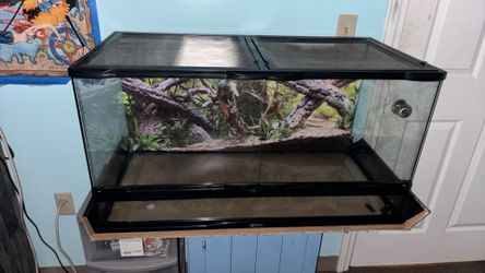 Reptile tank