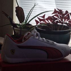 Puma Racing Style Shoes