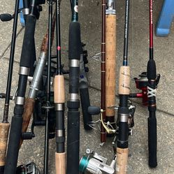 Fishing Rod And Reels 