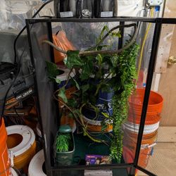 Repti Breeze Chameleon Kit, 16" L X 16" W X 30" H