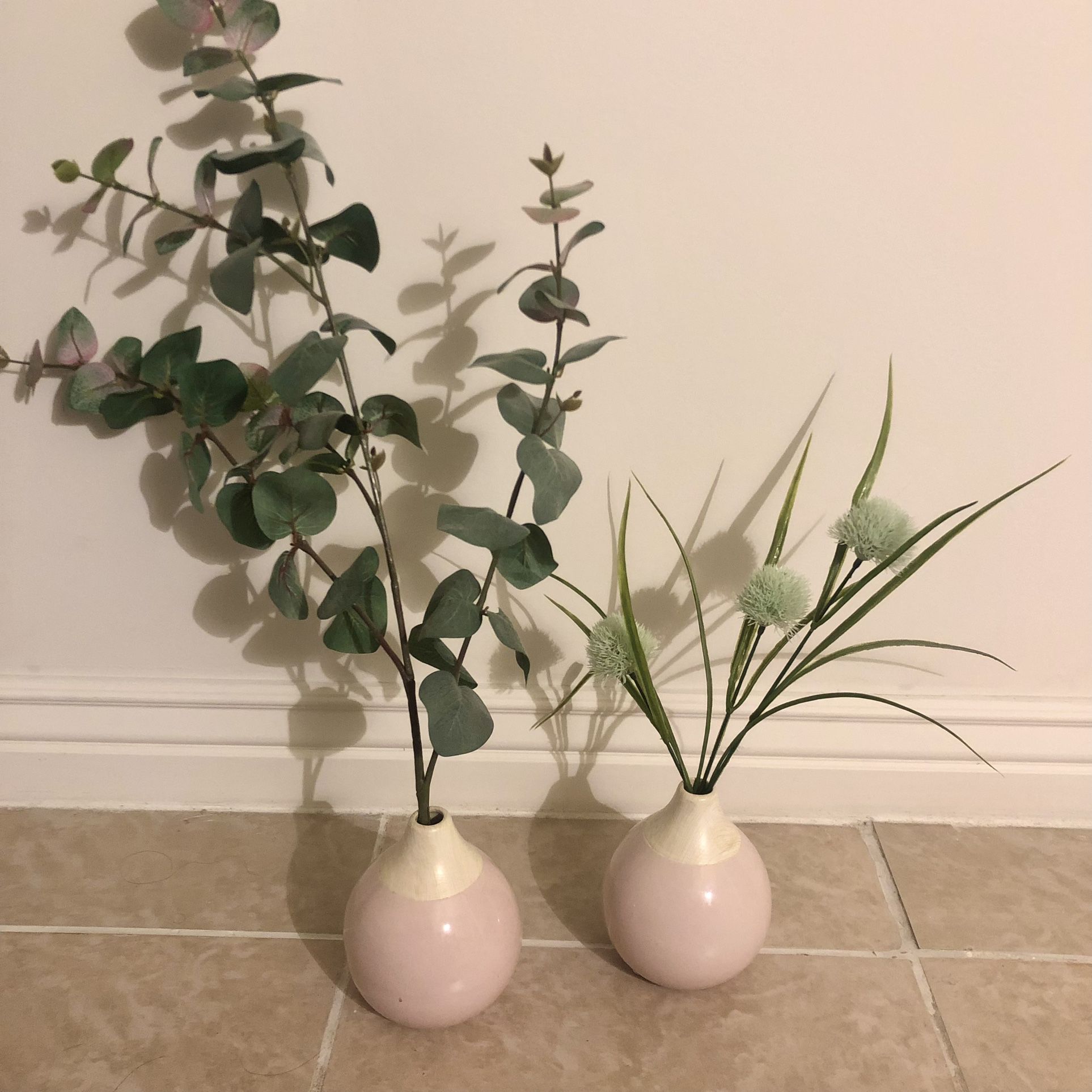 Vase and plants