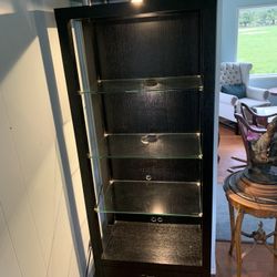 Modern Ebony Lighted Cabinet