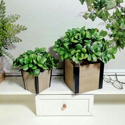 NEW! Artificial Plant Set in Containers made of Wood &Metal, 12"x7" & 11``x7`` , CASH ONLY, PICKUP ONLY - decor, fake plants, faux plants, flowers 