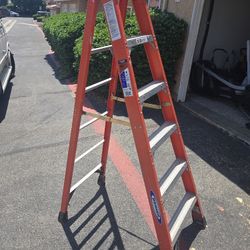 Werner 6' Ladder