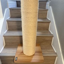 Large cat scratcher
