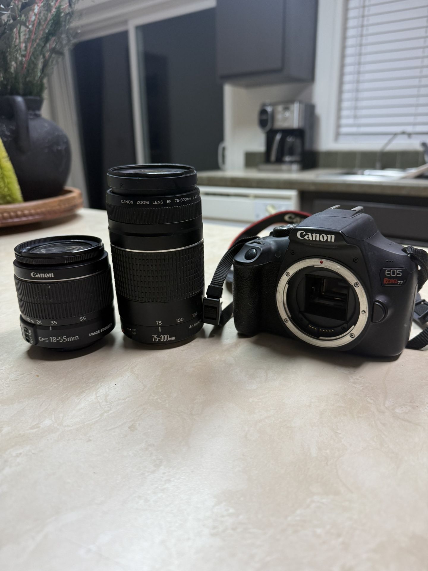 Canon T7 Bundle