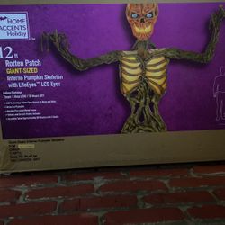 Skeleton 12ft