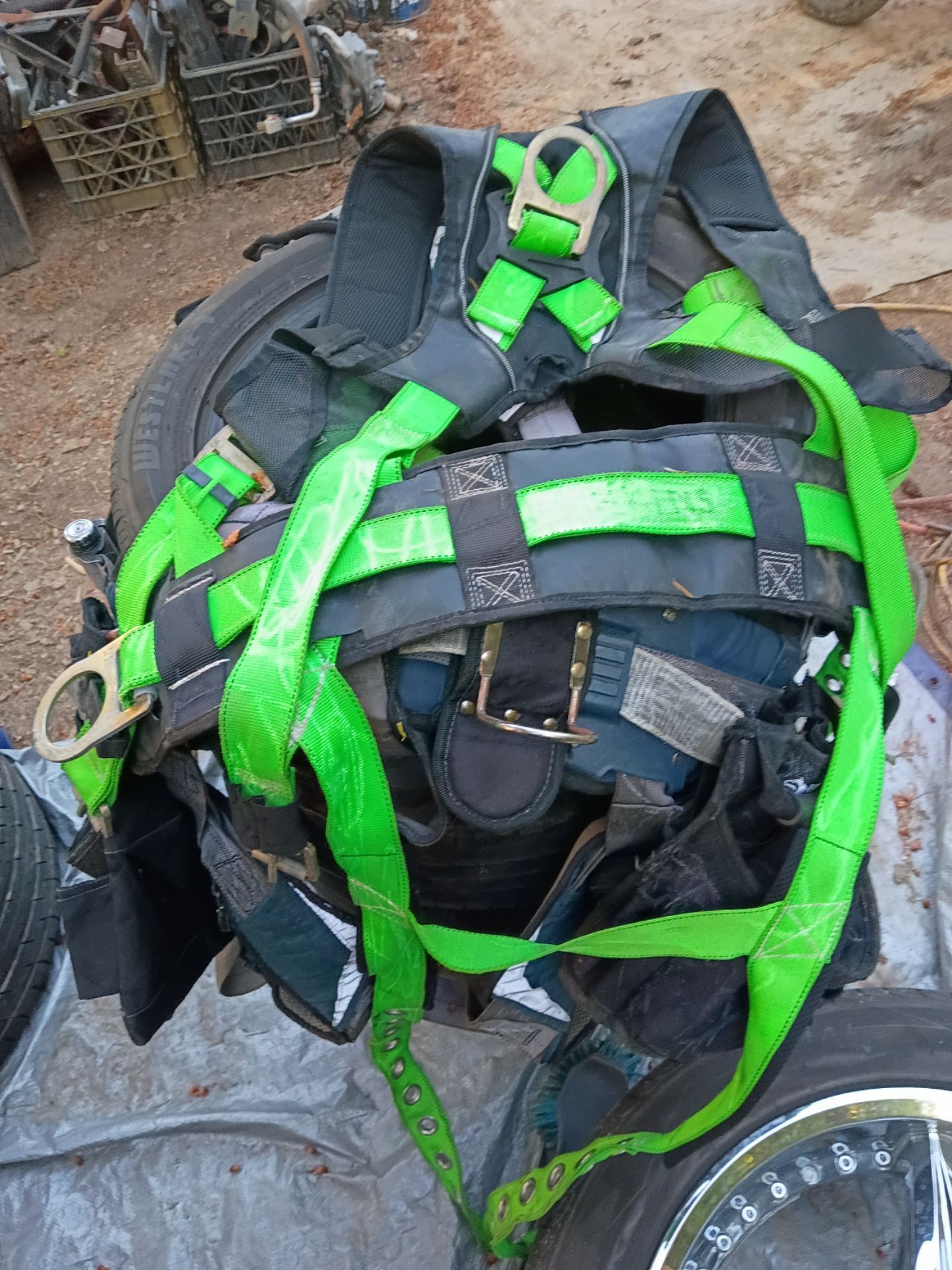 Harness