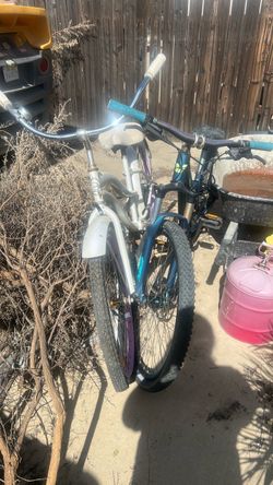 $100 for both bikes