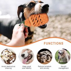 Pineapple Dog Chew Toy 