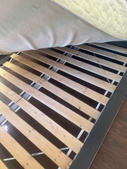 Queen Bed