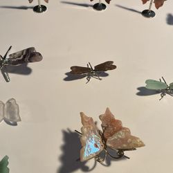 Butterfly & Dragonfly Clearance Sale