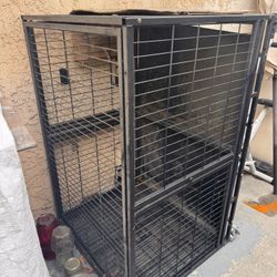 Pet Kennel
